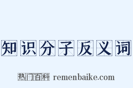 知识分子反义词是什么意思的图片